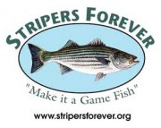 Stripers Forever