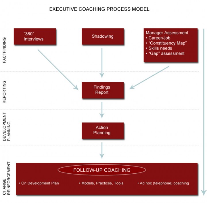 Executive Coaching Process Model